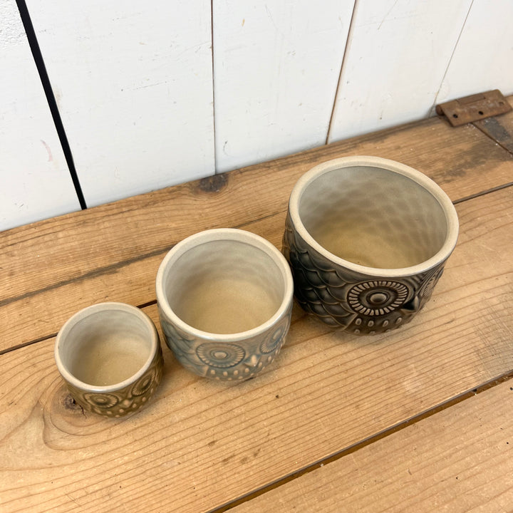 Owl Pots