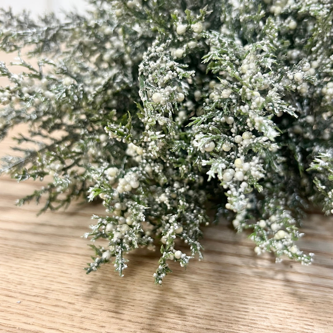 Winter Cedar Collection