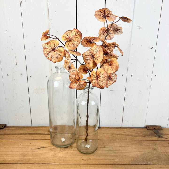 Ginkgo Leaf Stems