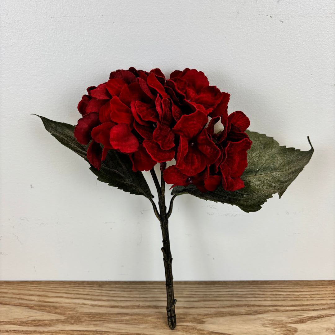 Velvet Hydrangea Stem