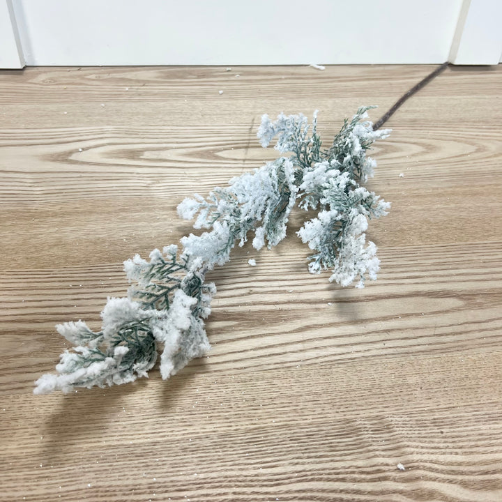 Snowy Cedar Stem