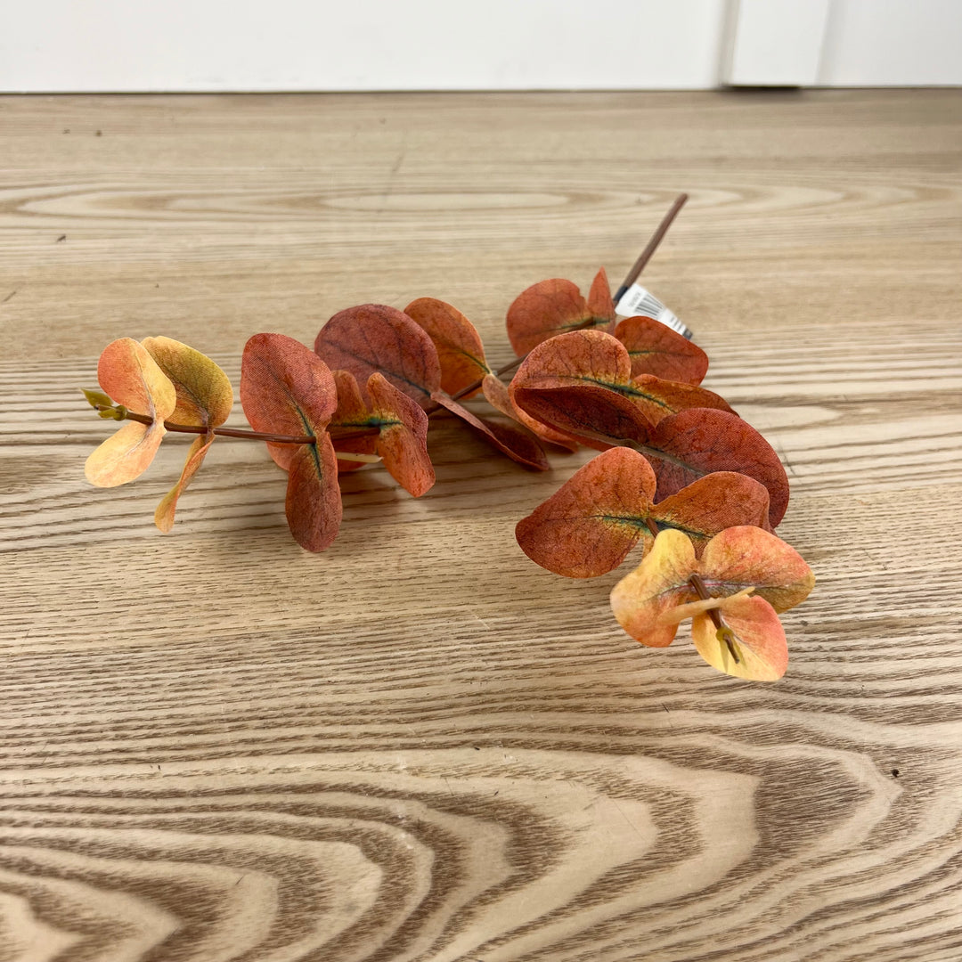 Eucalyptus Pick - 3 Colors