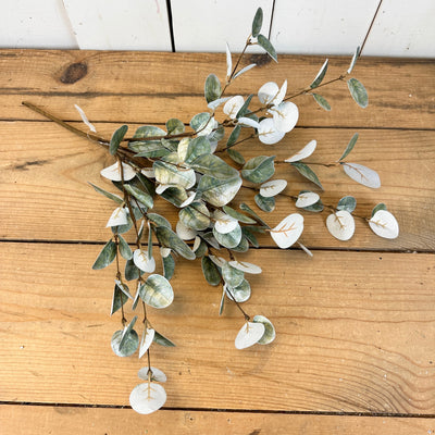 Sparkly Eucalyptus Collection