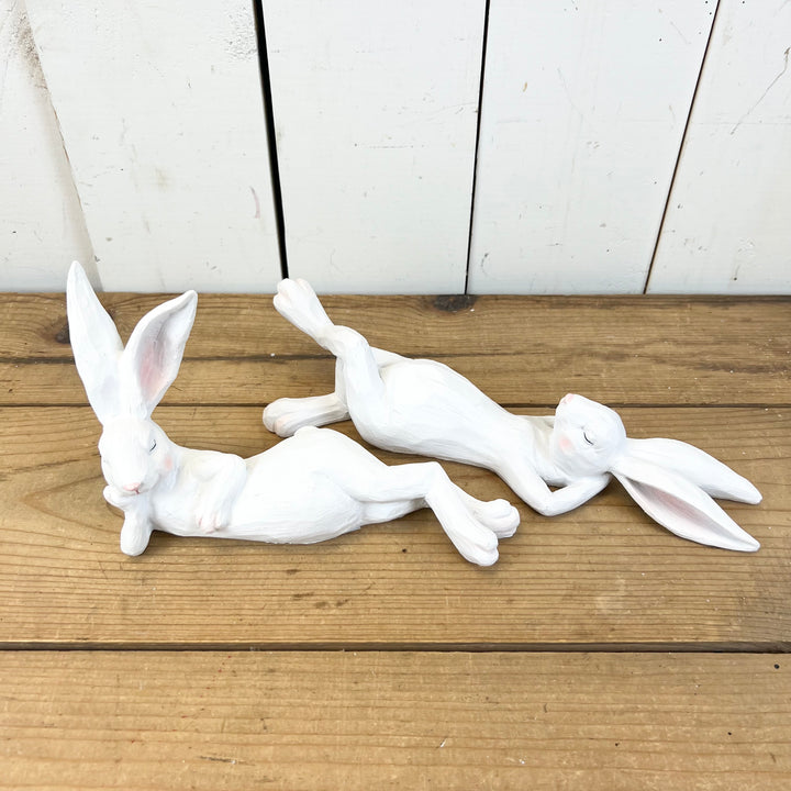 Lounging Bunnies