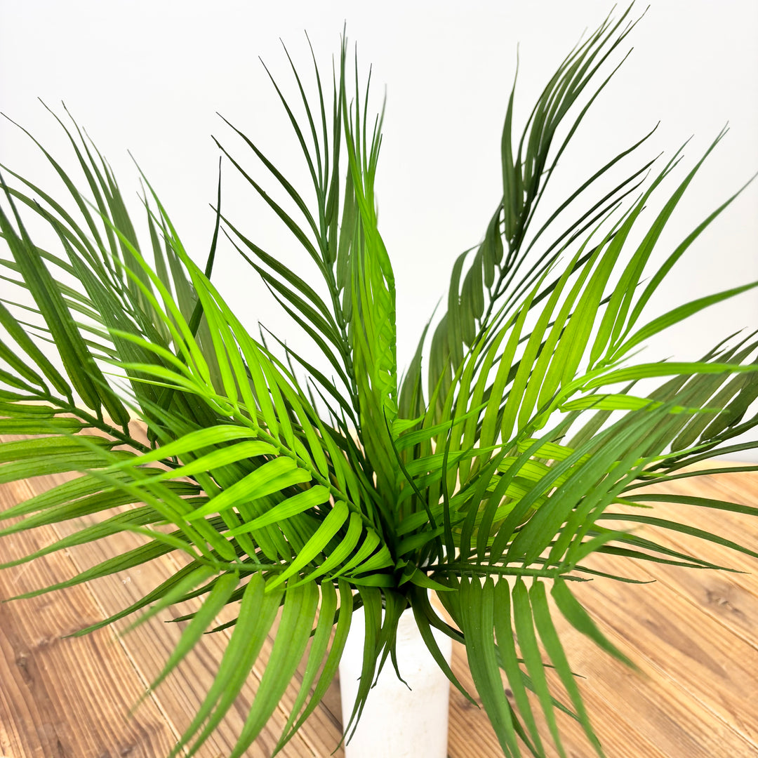Palm Bush