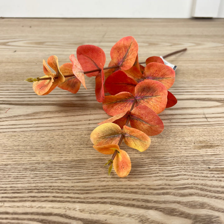 Eucalyptus Pick - 3 Colors