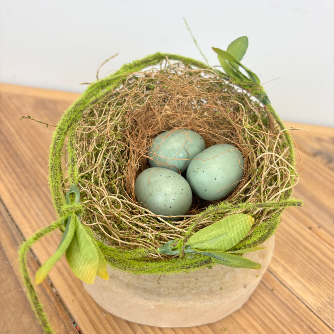 Robin's Egg Nest