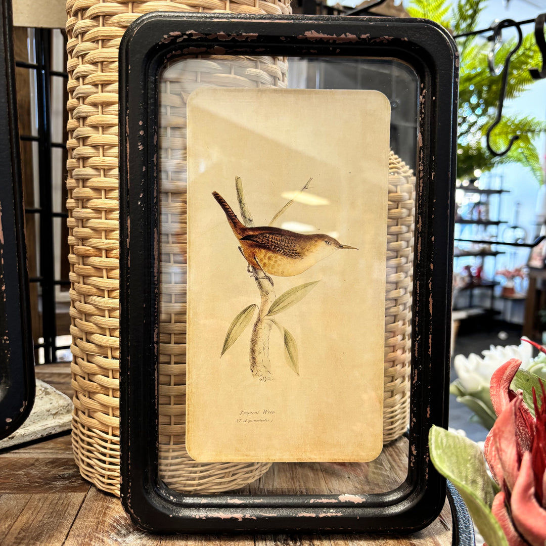 Distressed Wood Framed Bird Wall Decor- 6 Styles