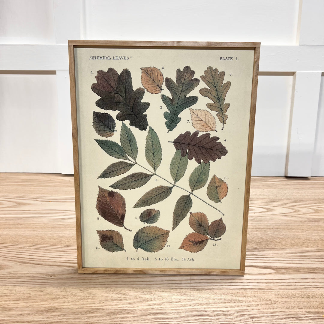 Fall Vintage Prints