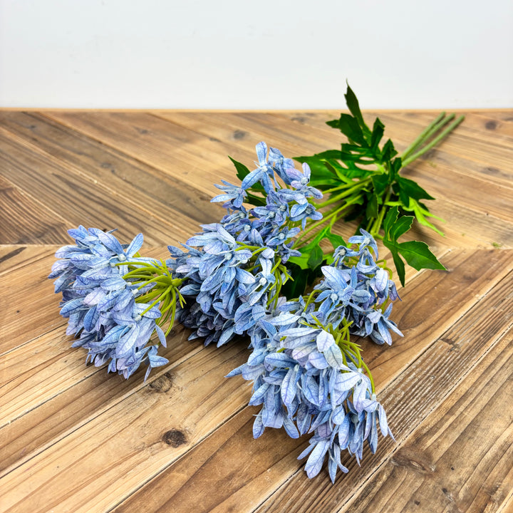 Agapanthus Bundle - 2 Colors