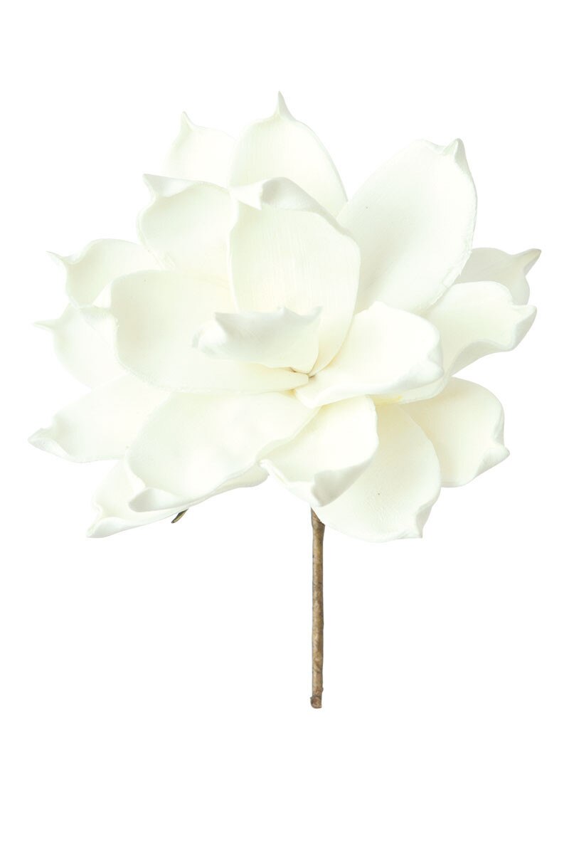 White Botanica