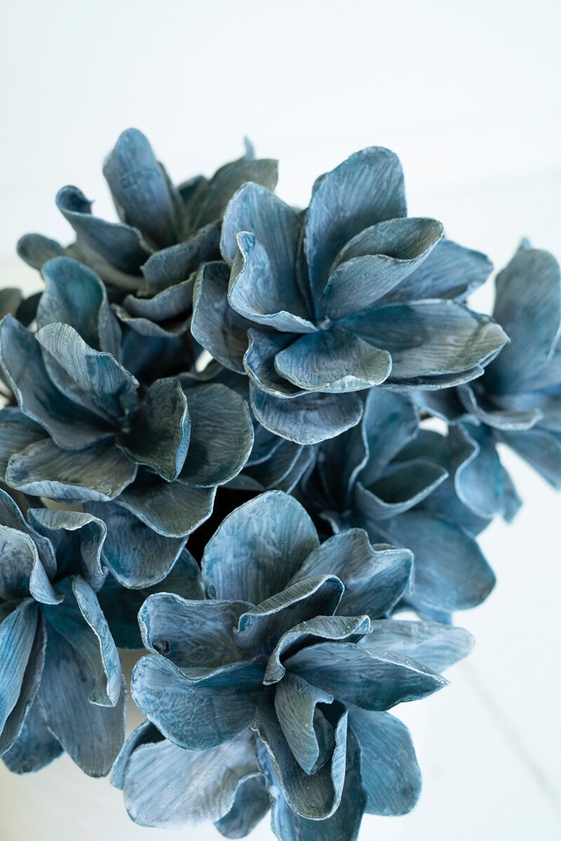 Blue Botanica