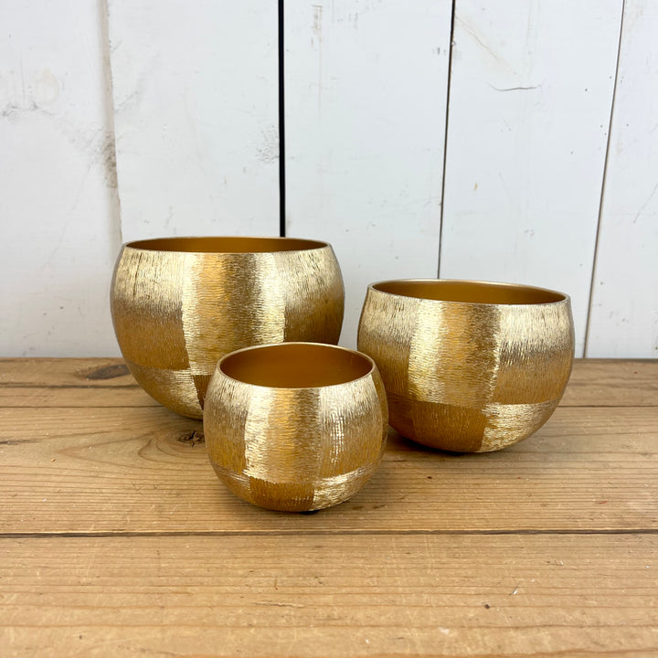 Brushed Gold Containers