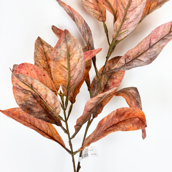 Dusty Orange Croton Spray