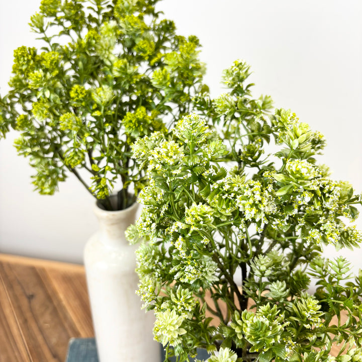 Sedum Spray - 2 Colors