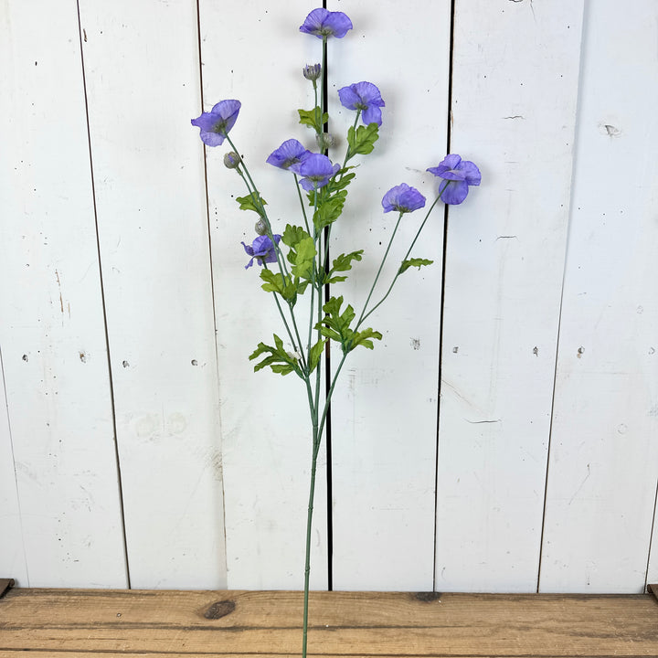 Purple Wildflower Stem