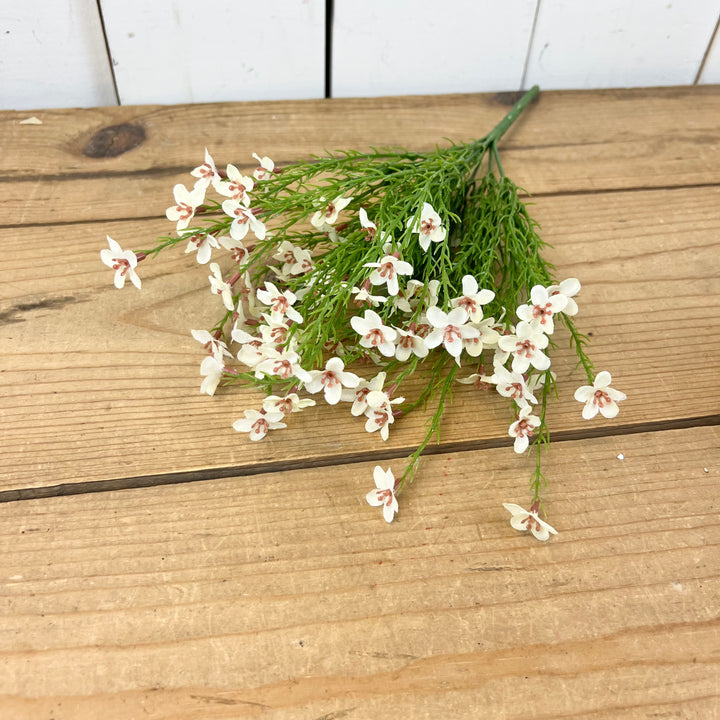 Wax Flower Stems