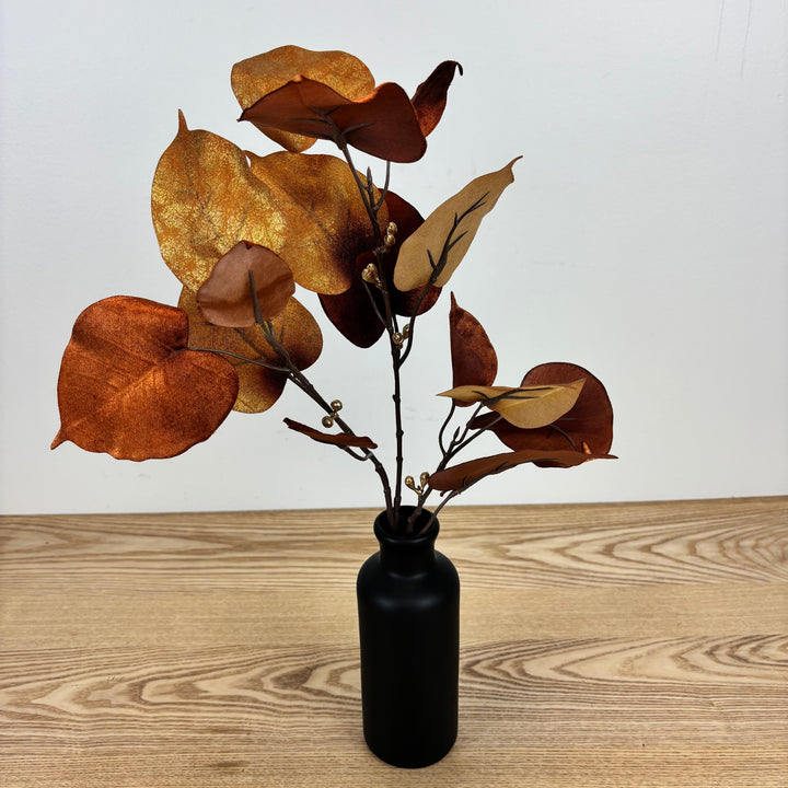 Velvet Ficus Spray, Spice