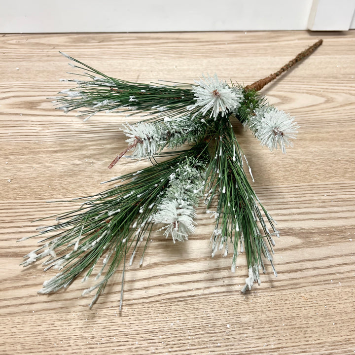 Iced Pine Stem