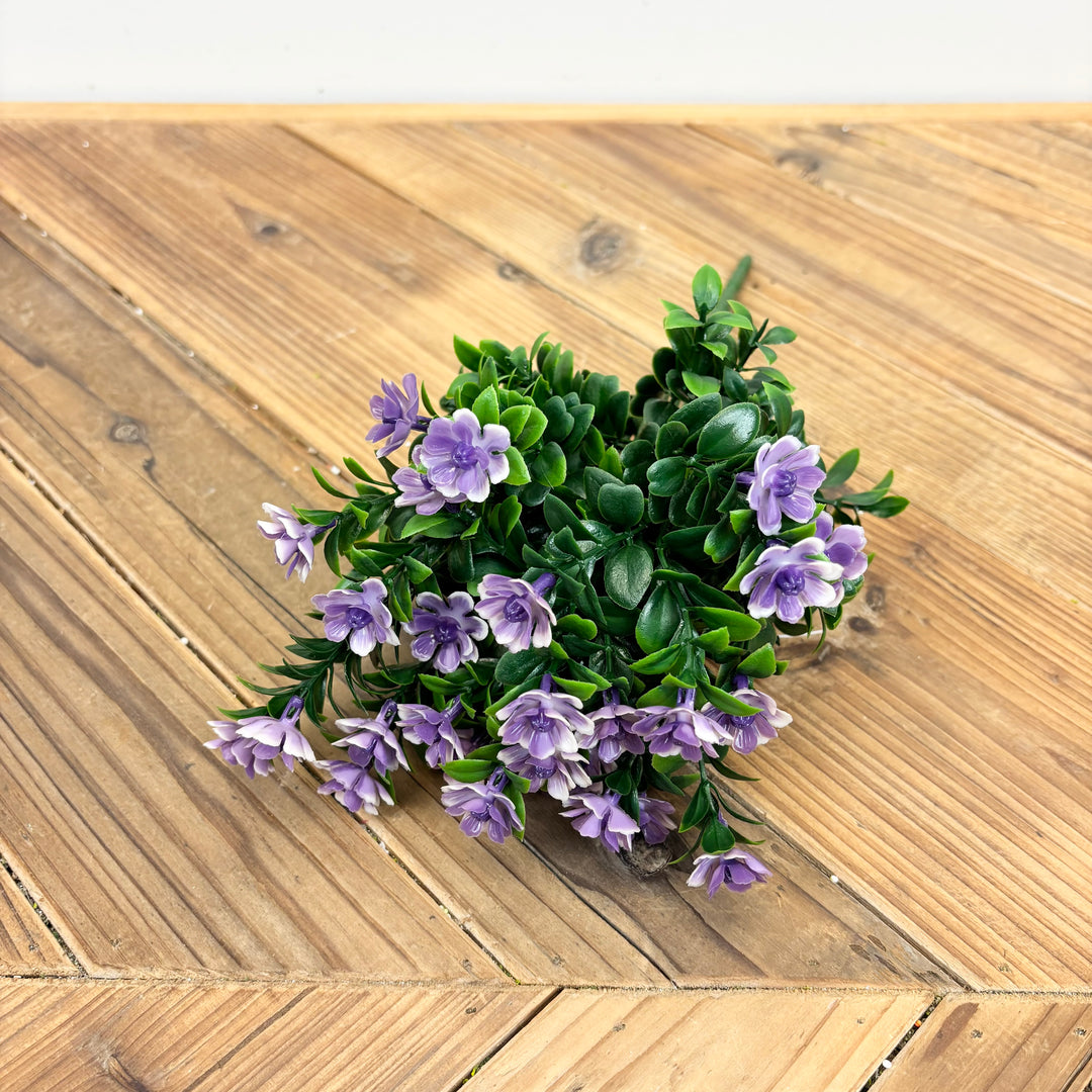 Mini Azalea Bush - 2 Colors