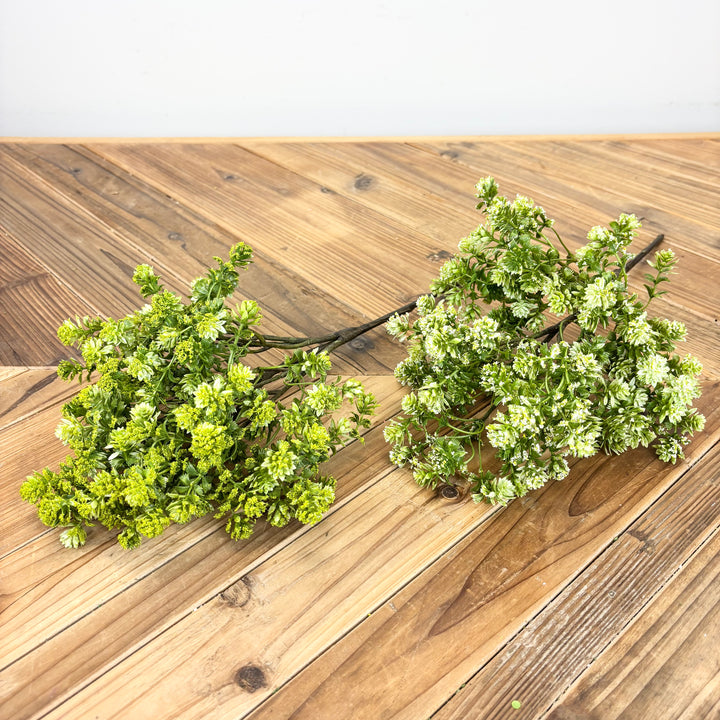 Sedum Spray - 2 Colors