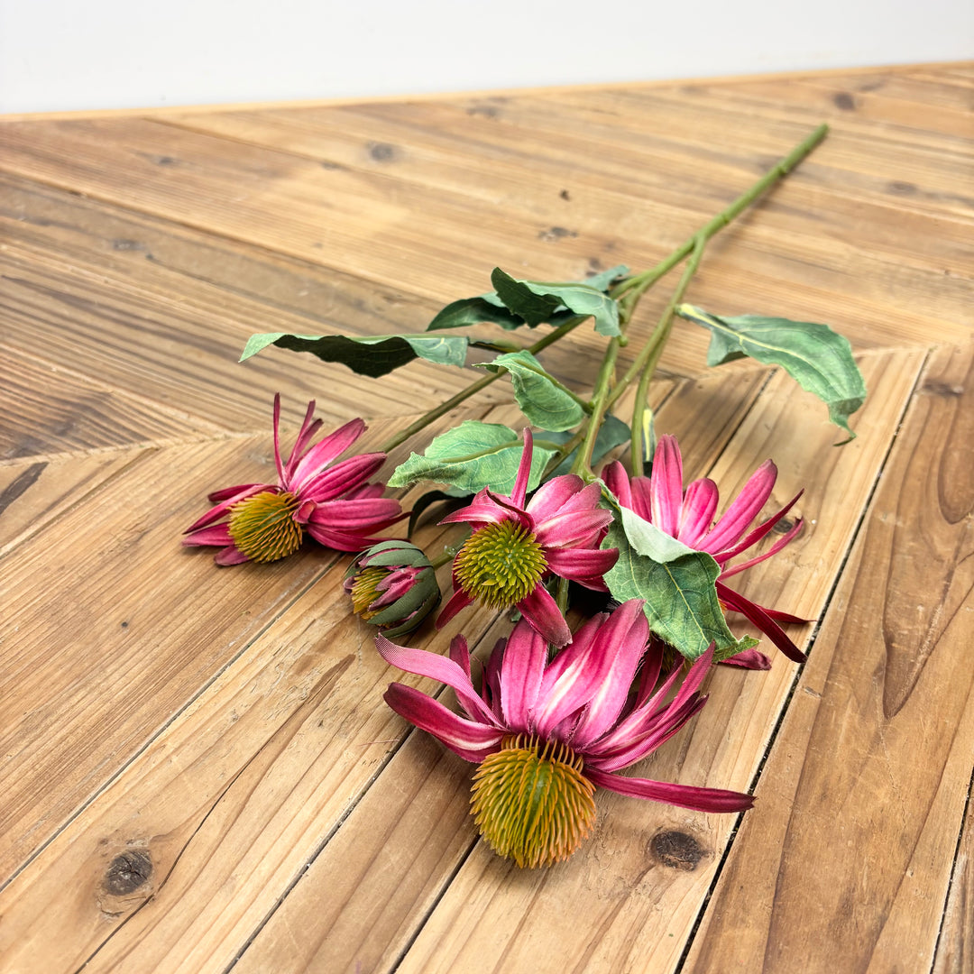 Black Eyed Susan - 3 Colors