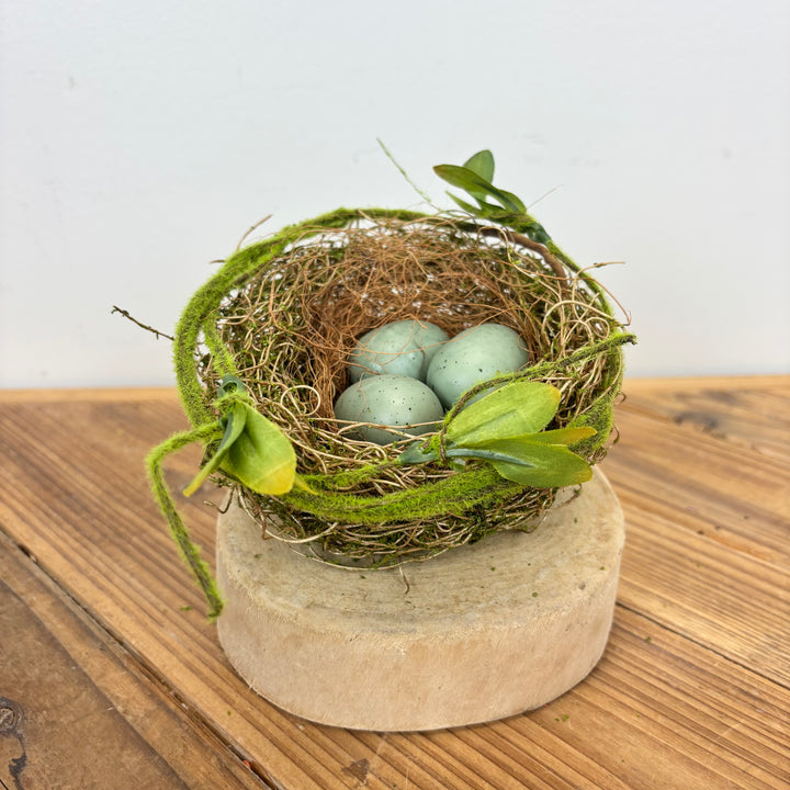 Robin's Egg Nest