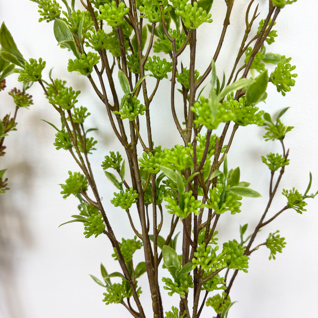 Berry Bundle - 2 Colors