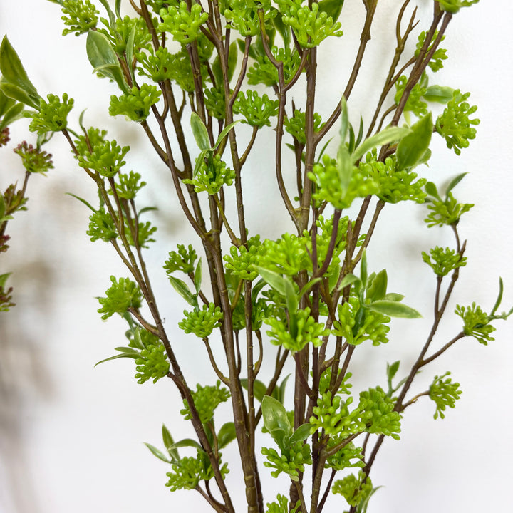 Berry Bundle - 2 Colors