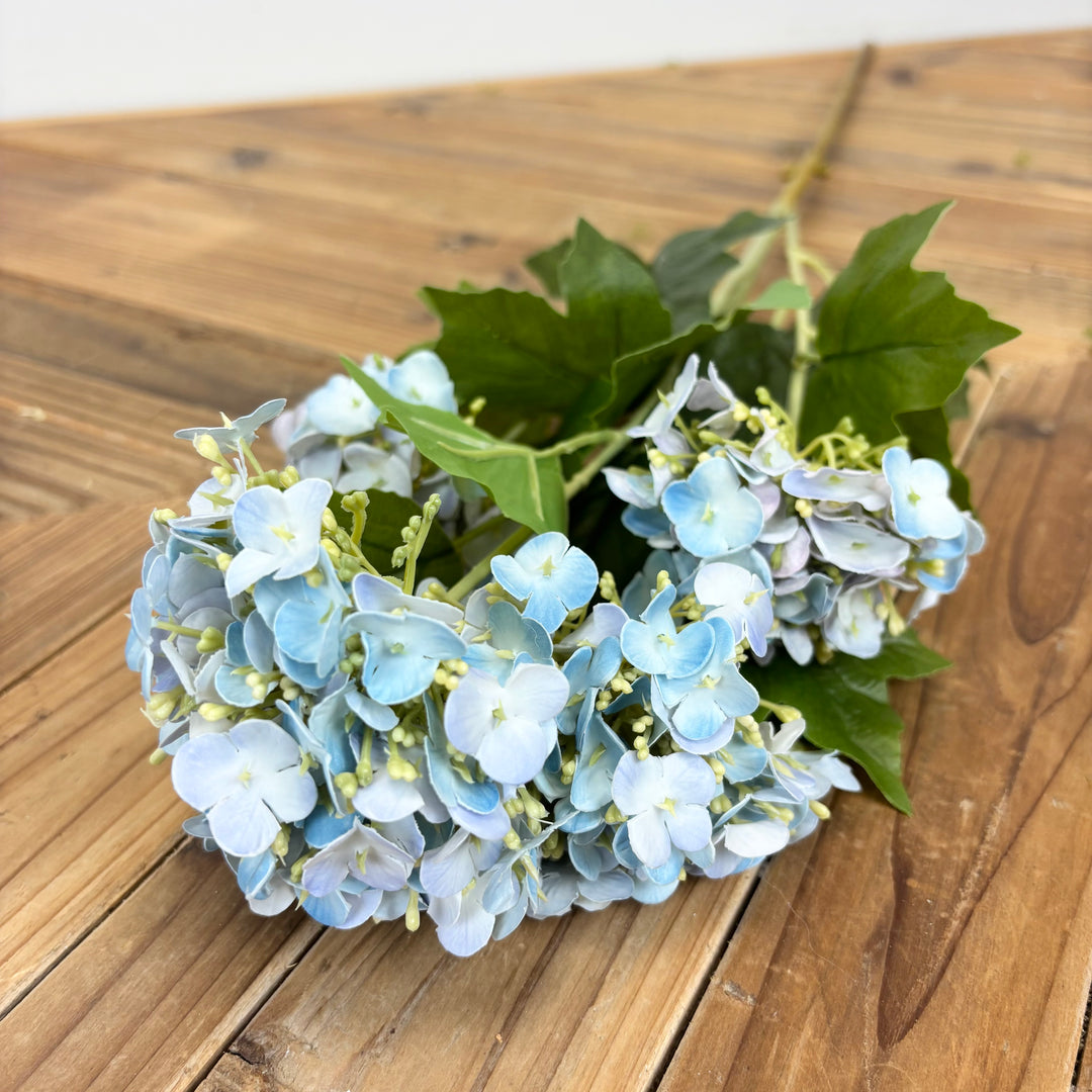 Real Feel Viburnum - 3 Colors