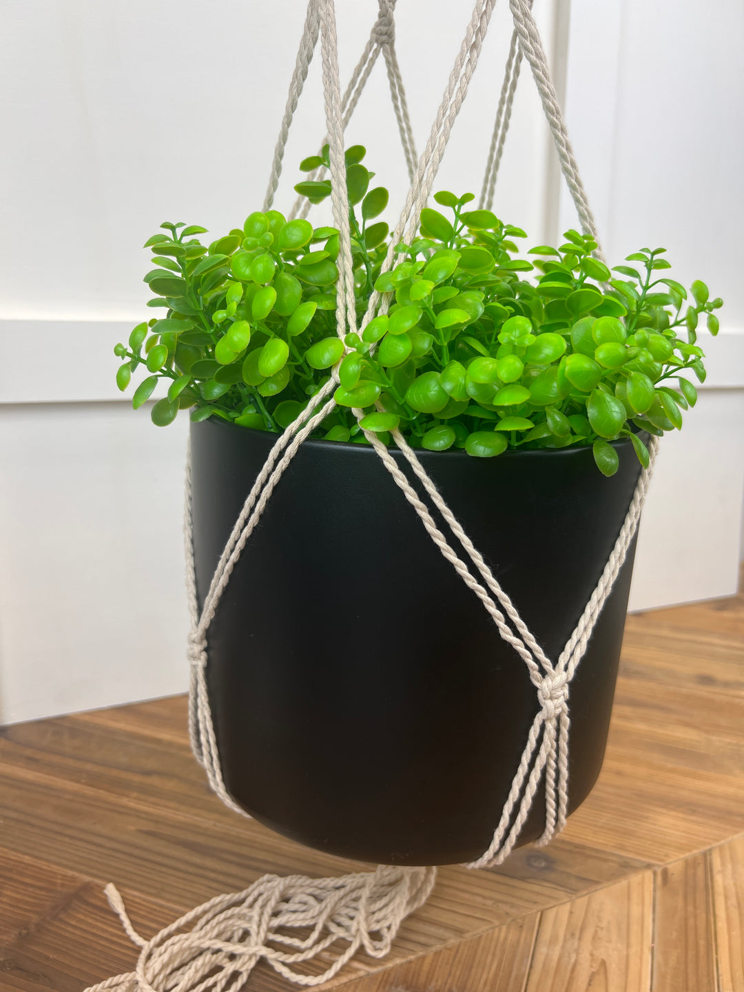Cotton Plant Hanger