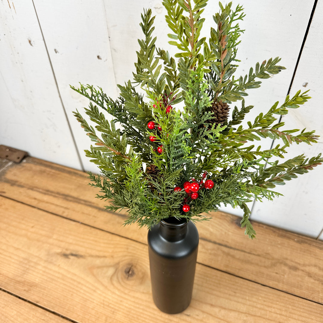 Pine and Berry Stem