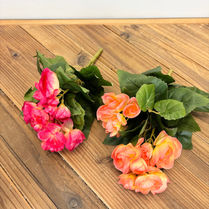 Begonia Bush - 2 Colors