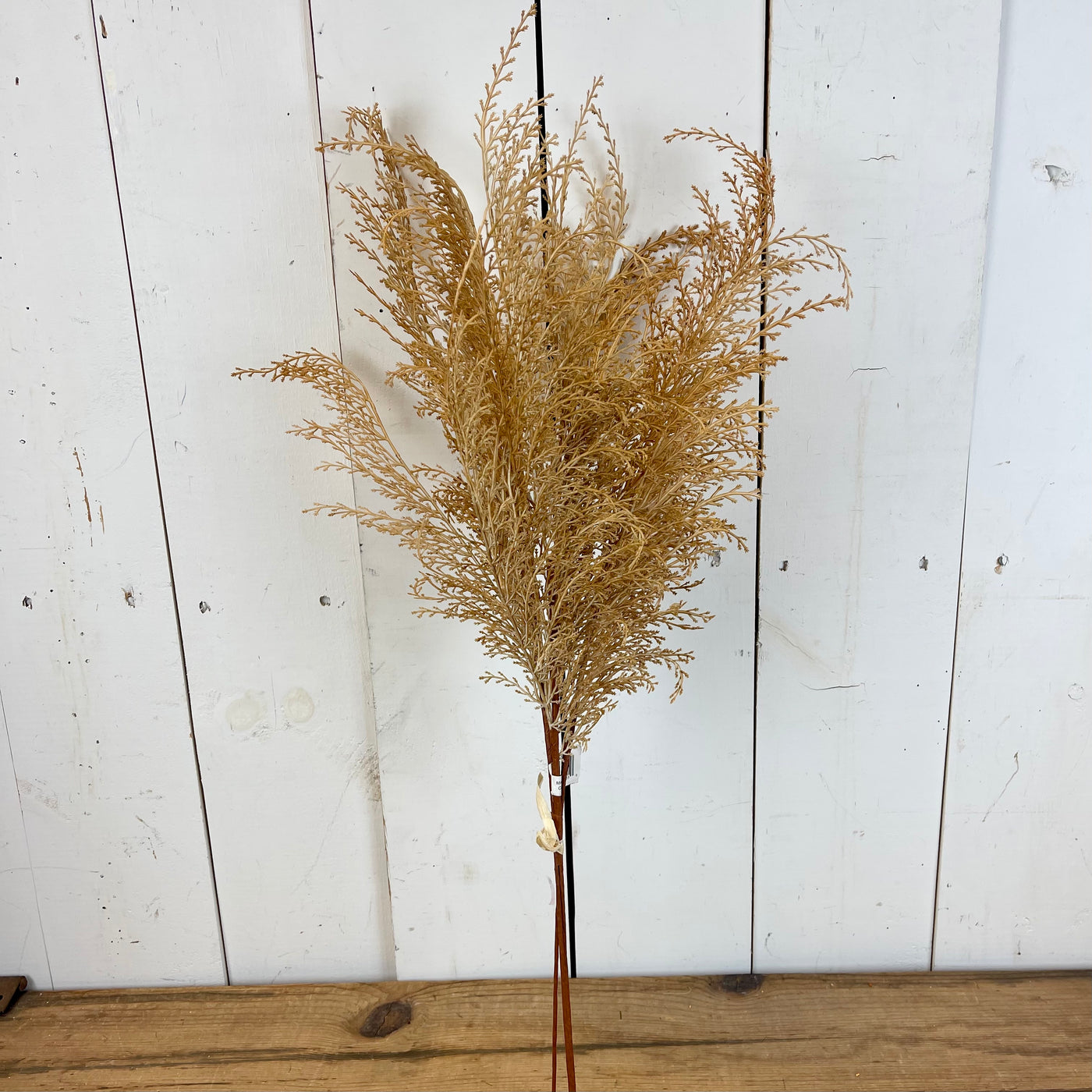Dried Feather Wheat Bundle