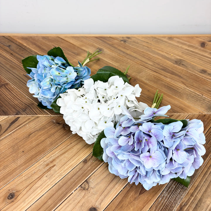 Hydrangea - 3 Colors