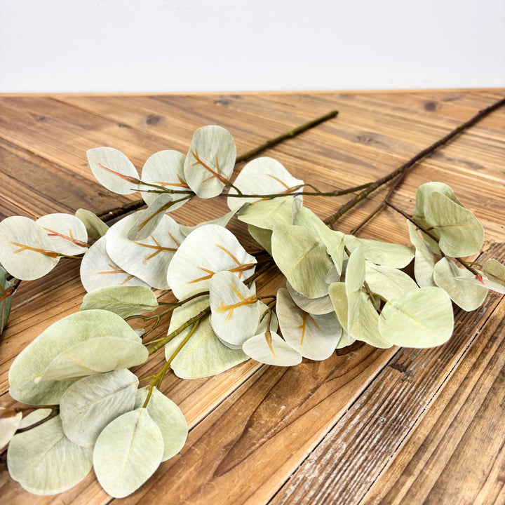Silver Dollar Eucalyptus Spray - 2 Colors