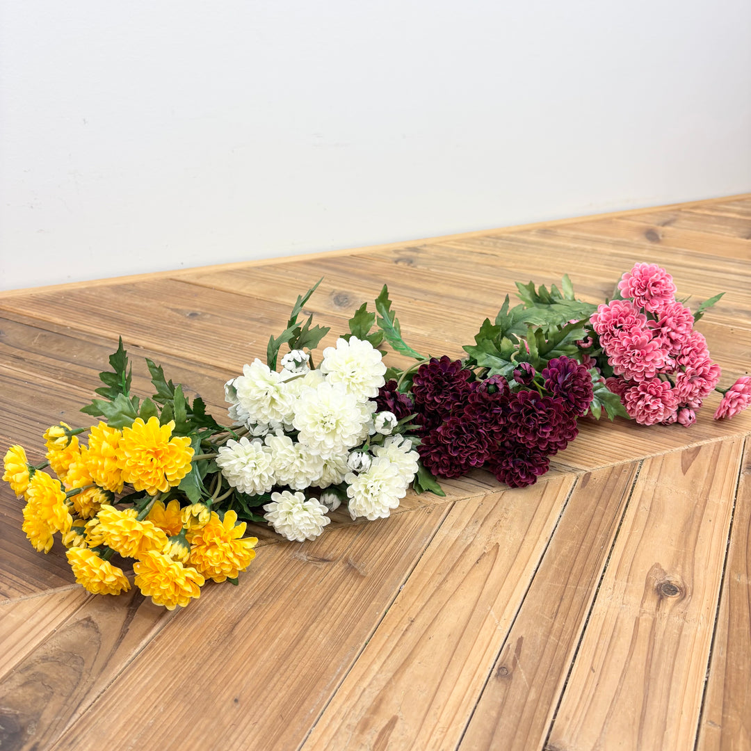 Wild Mum Bundle - 4 Colors