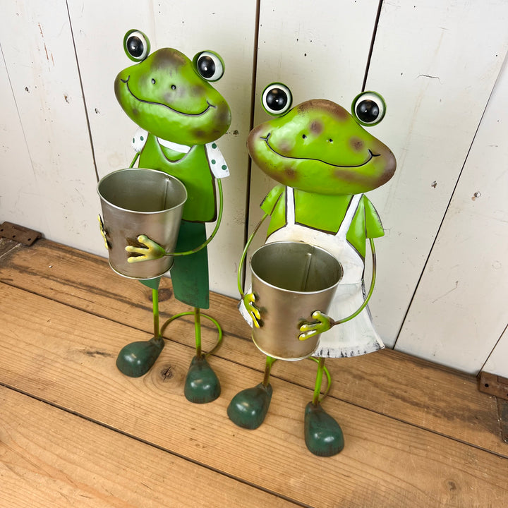Frog Planters