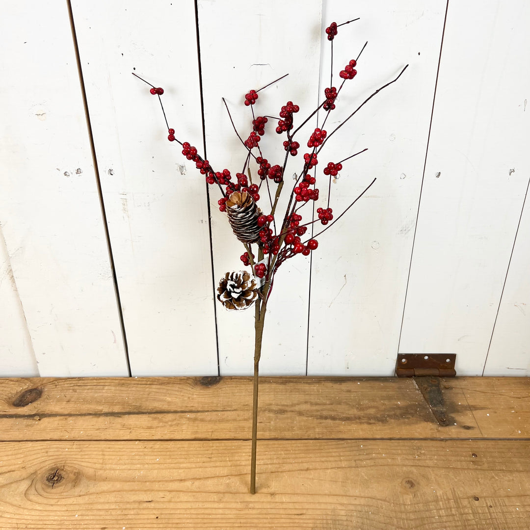 Red Berry Stems with Pinecones