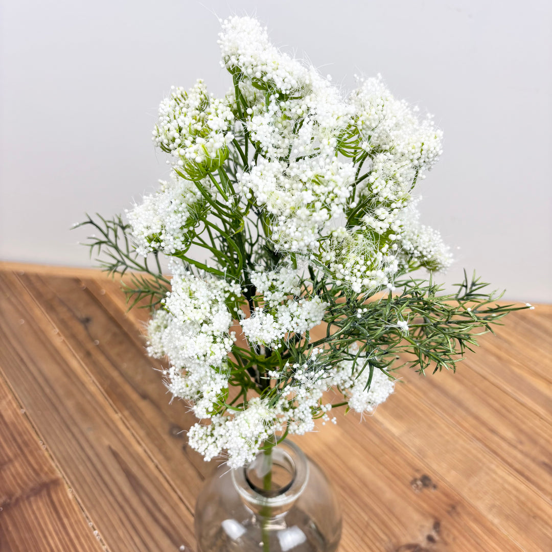 Queen Anne's Lace Stem