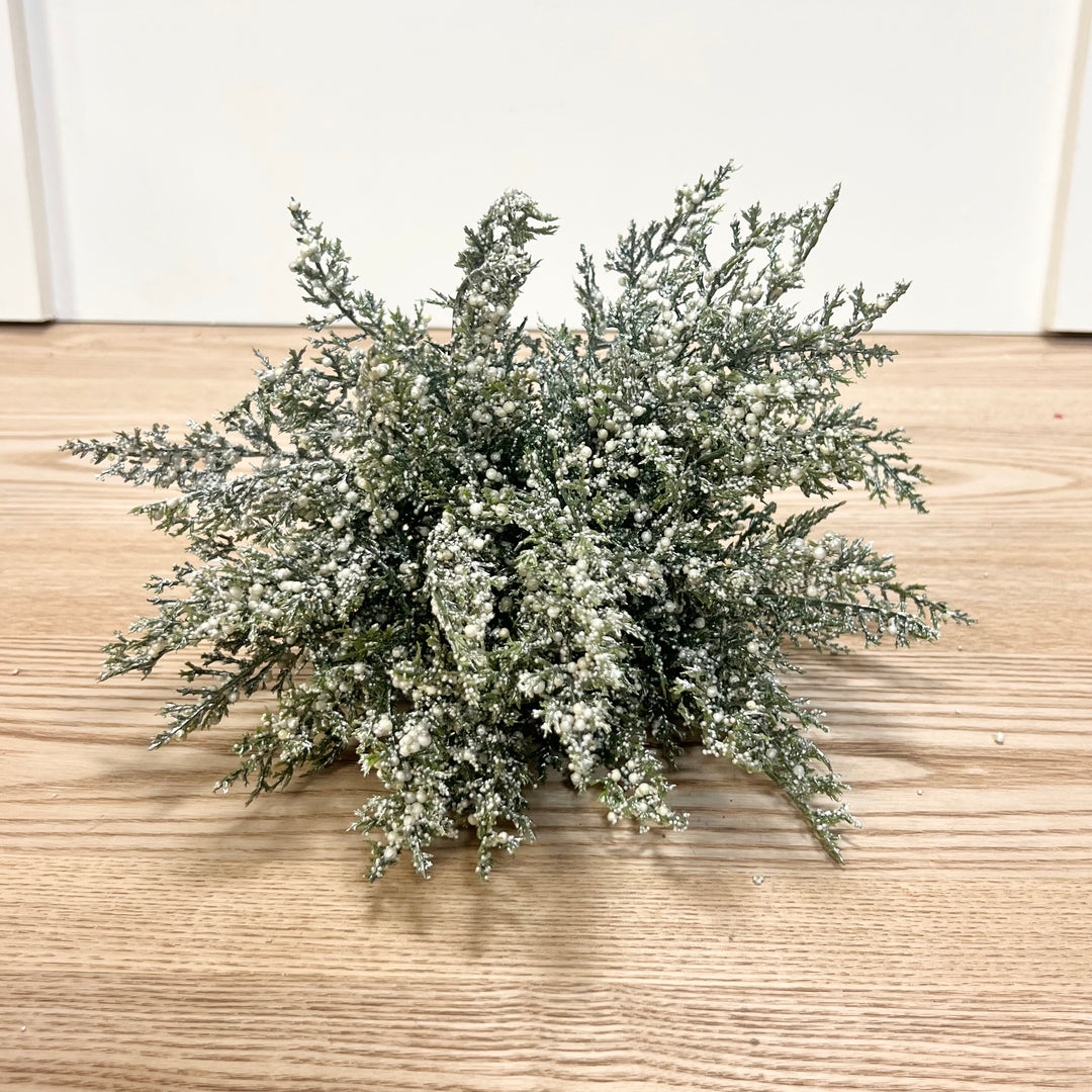 Winter Cedar Collection