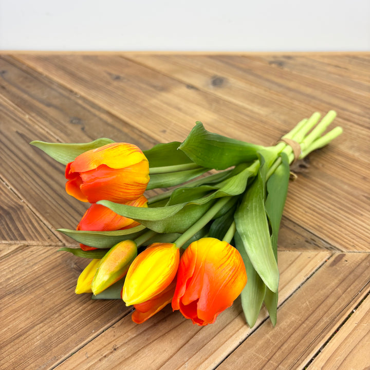 7 Stem Tulip Bundle - 4 Colors