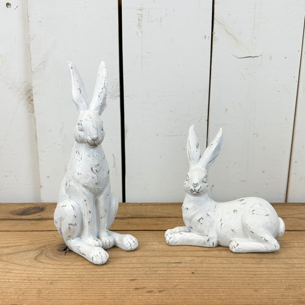 値引 Set Bunnies White Distressed of Bloom in Prairie – 2 アクセサリー
