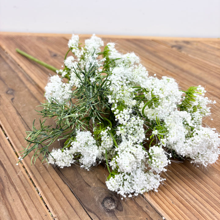 Queen Anne's Lace Stem