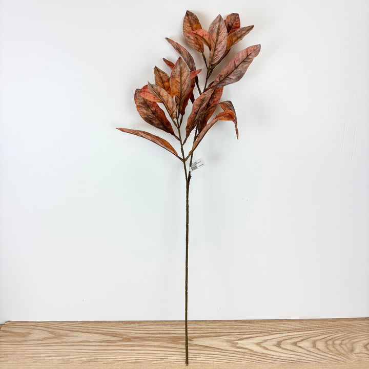 Dusty Orange Croton Spray