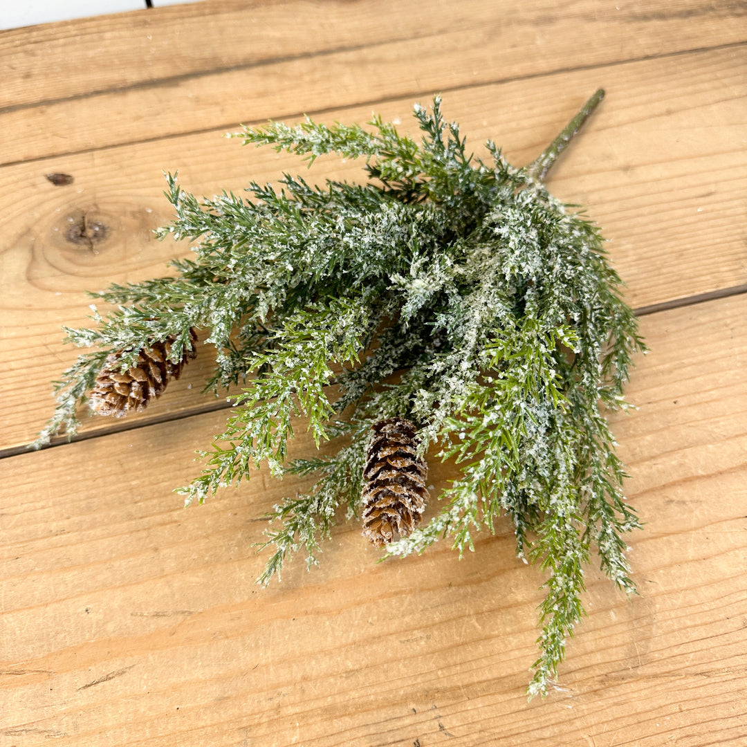 Frosted Arborvitae Stem