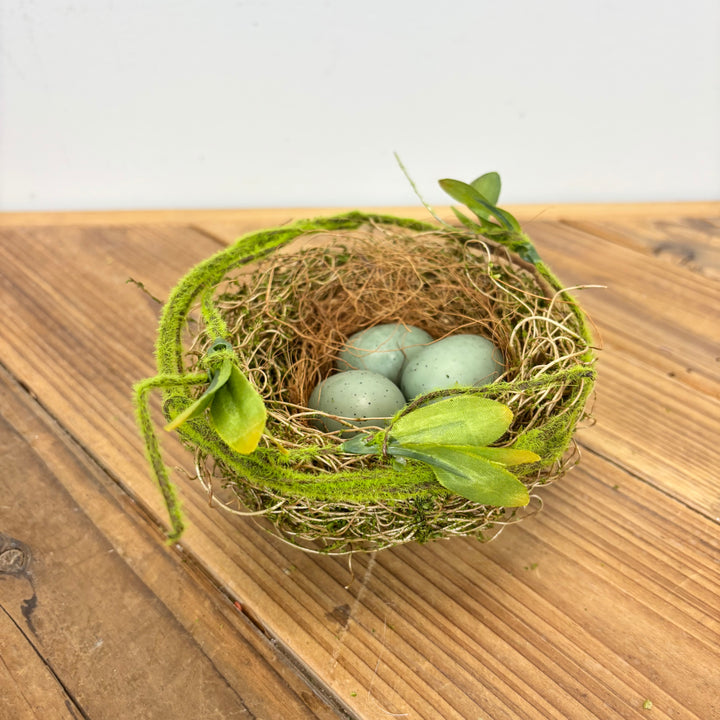 Robin's Egg Nest