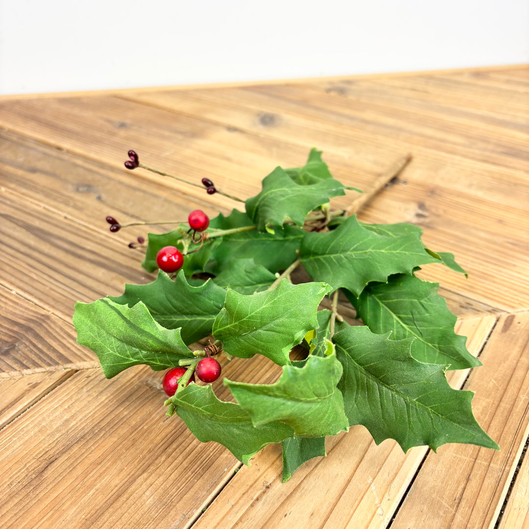 Holly Stem