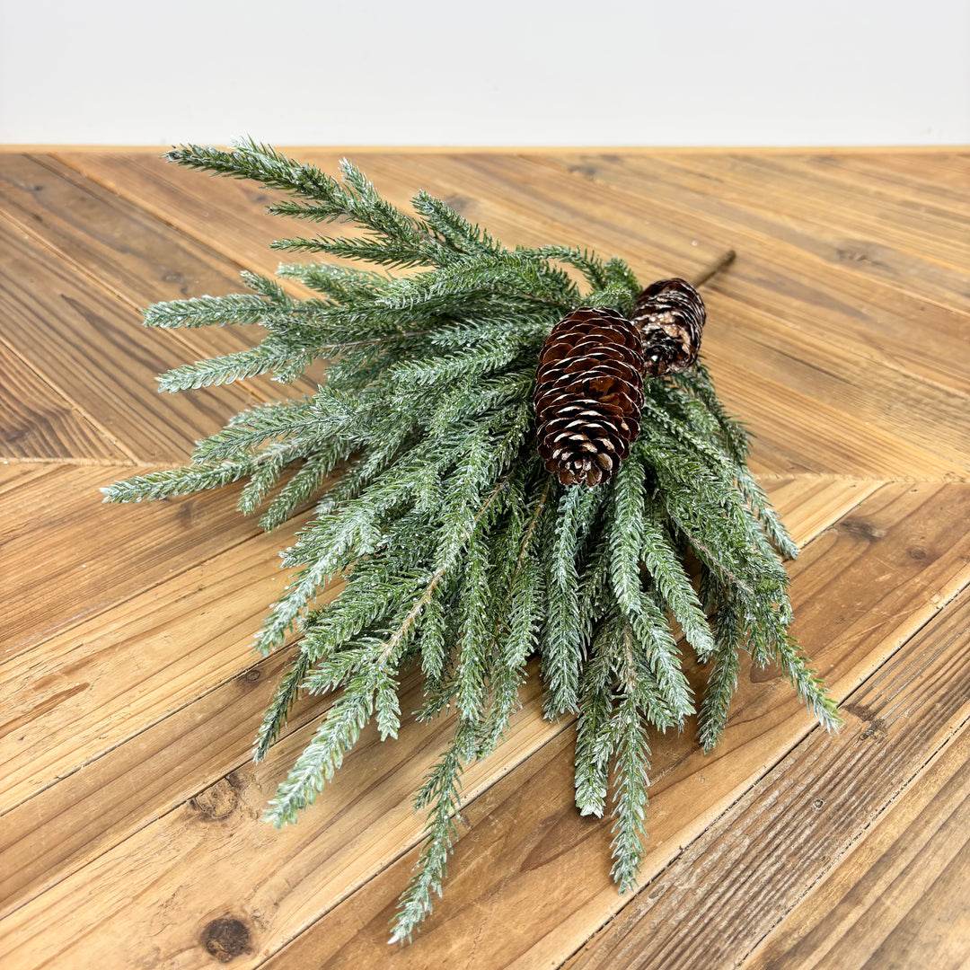 Frosted Austrian Pine Bush