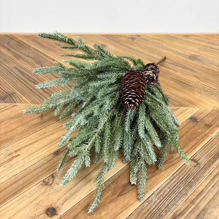 Frosted Austrian Pine Bush